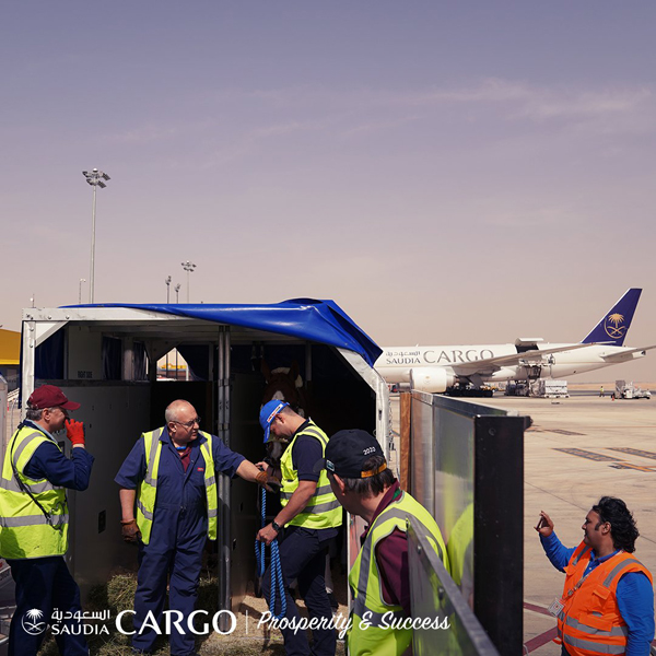 Cabin crew 2